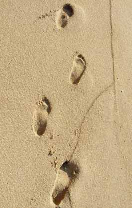 Footsteps